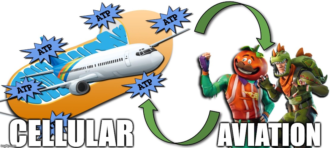sdaf | CELLULAR; AVIATION | image tagged in asdf | made w/ Imgflip meme maker
