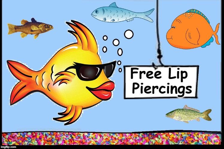 If Something is Too Good to Be True... | Free Lip Piercings | image tagged in vince vance,school of fish,lip piercings,fish tank,don't be a fool,swim in a brook | made w/ Imgflip meme maker