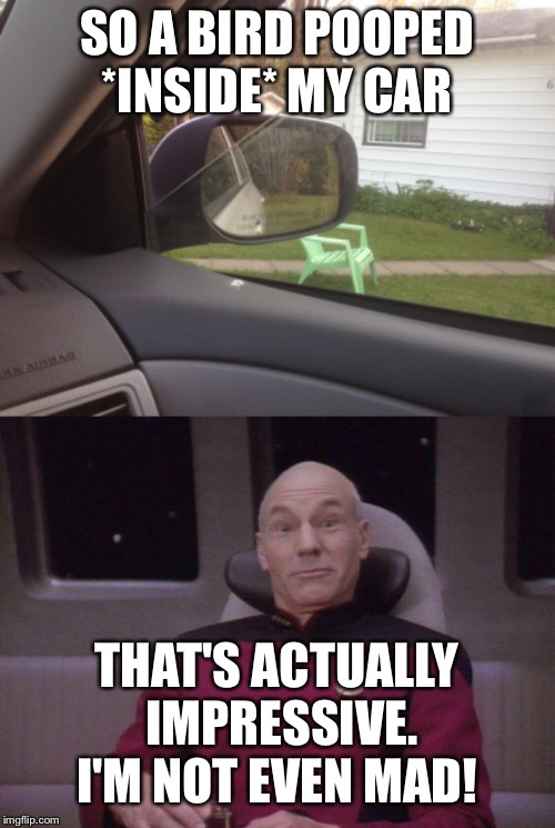 This happened today  | SO A BIRD POOPED *INSIDE* MY CAR; THAT'S ACTUALLY IMPRESSIVE. I'M NOT EVEN MAD! | image tagged in memes,apesfollowkoba,poop | made w/ Imgflip meme maker