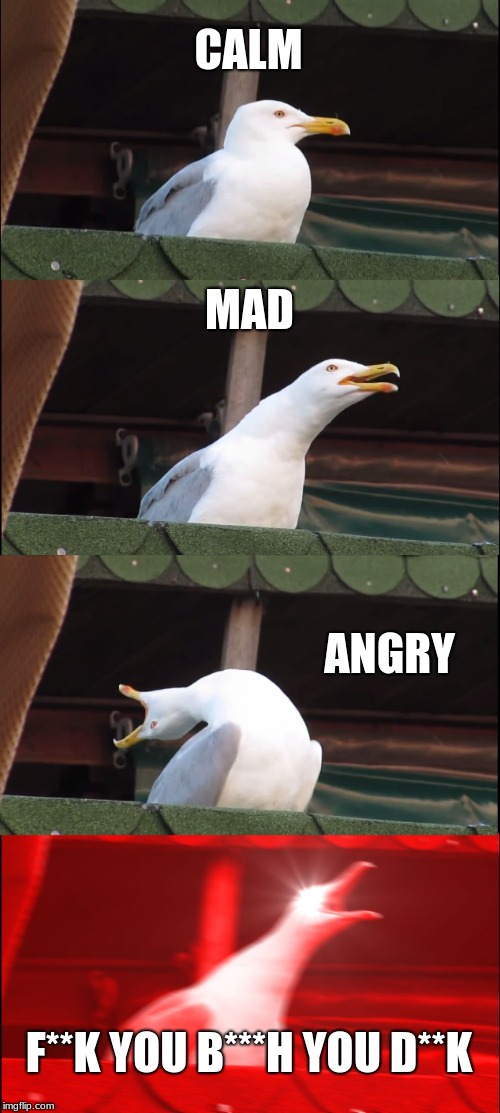 Inhaling Seagull | CALM; MAD; ANGRY; F**K YOU B***H YOU D**K | image tagged in memes,inhaling seagull | made w/ Imgflip meme maker