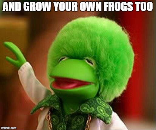 AND GROW YOUR OWN FROGS TOO | made w/ Imgflip meme maker
