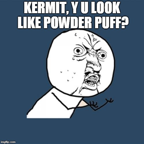 Y U No Meme | KERMIT, Y U LOOK LIKE POWDER PUFF? | image tagged in memes,y u no | made w/ Imgflip meme maker