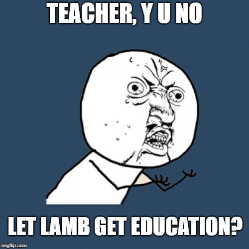 Y U No Meme | TEACHER, Y U NO LET LAMB GET EDUCATION? | image tagged in memes,y u no | made w/ Imgflip meme maker