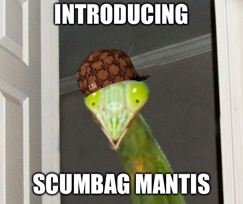 Scumbag Mantis | INTRODUCING SCUMBAG MANTIS | image tagged in scumbag mantis | made w/ Imgflip meme maker