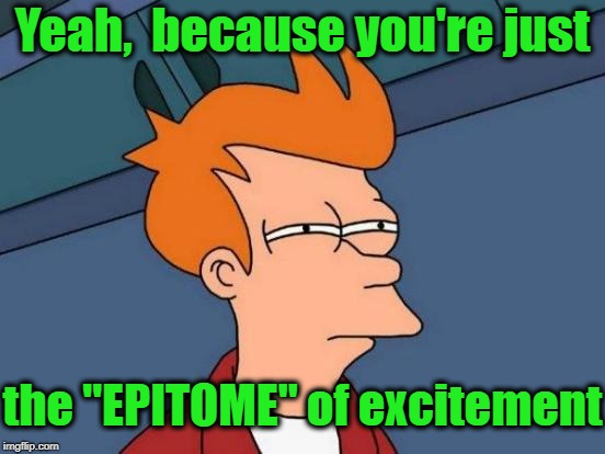 Futurama Fry Meme | Yeah,  because you're just the "EPITOME" of excitement | image tagged in memes,futurama fry | made w/ Imgflip meme maker