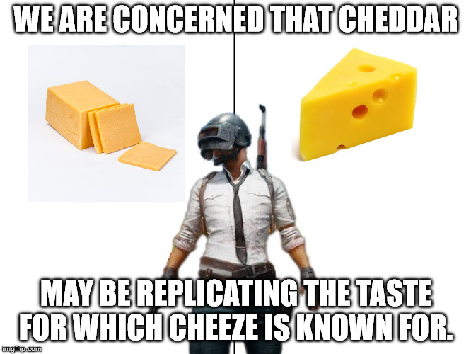We are concerned that | WE ARE CONCERNED THAT CHEDDAR; MAY BE REPLICATING THE TASTE FOR WHICH CHEEZE IS KNOWN FOR. | image tagged in we are concerned that | made w/ Imgflip meme maker