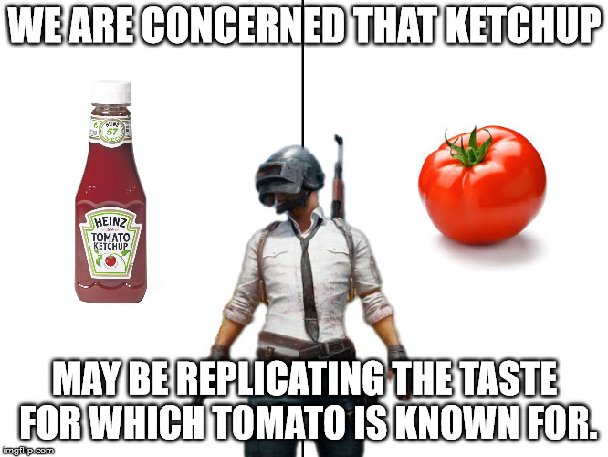 We are concerned that | WE ARE CONCERNED THAT KETCHUP; MAY BE REPLICATING THE TASTE FOR WHICH TOMATO IS KNOWN FOR. | image tagged in we are concerned that | made w/ Imgflip meme maker