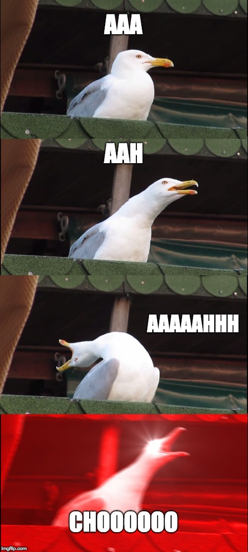Inhaling Seagull Meme | AAA; AAH; AAAAAHHH; CHOOOOOO | image tagged in memes,inhaling seagull | made w/ Imgflip meme maker