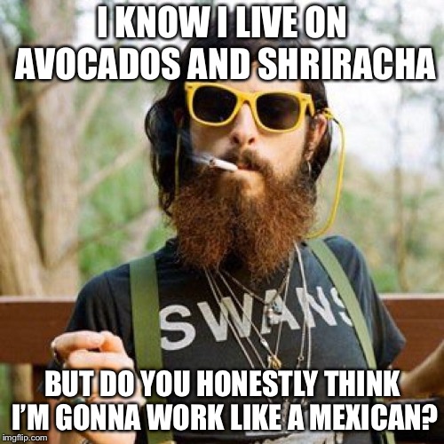 I KNOW I LIVE ON AVOCADOS AND SHRIRACHA BUT DO YOU HONESTLY THINK I’M GONNA WORK LIKE A MEXICAN? | made w/ Imgflip meme maker