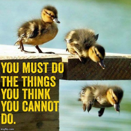 Dare to Do | . | image tagged in memes,ducks,jump,inspire | made w/ Imgflip meme maker