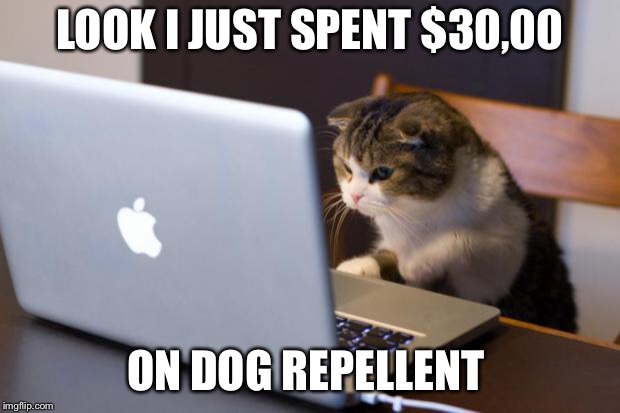 Cat using computer | LOOK I JUST SPENT $30,00; ON DOG REPELLENT | image tagged in cat using computer | made w/ Imgflip meme maker