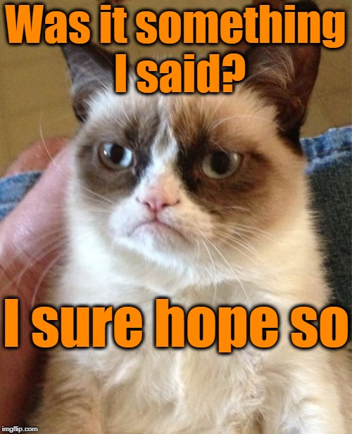 Grumpy Cat Meme | Was it something I said? I sure hope so | image tagged in memes,grumpy cat | made w/ Imgflip meme maker