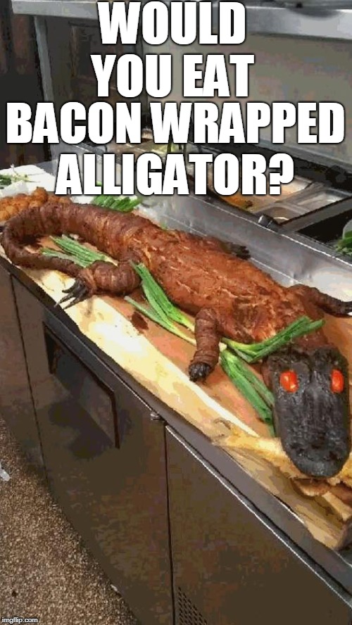 Fine dining in the American South  | WOULD YOU EAT; BACON WRAPPED ALLIGATOR? | image tagged in weird food,food,bacon wrapped,alligator,the south,memes | made w/ Imgflip meme maker