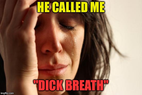First World Problems Meme | HE CALLED ME "DICK BREATH" | image tagged in memes,first world problems | made w/ Imgflip meme maker