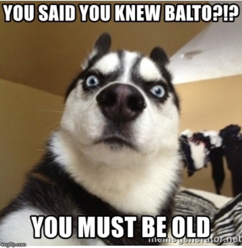 Ha ha husky  | image tagged in funny | made w/ Imgflip meme maker