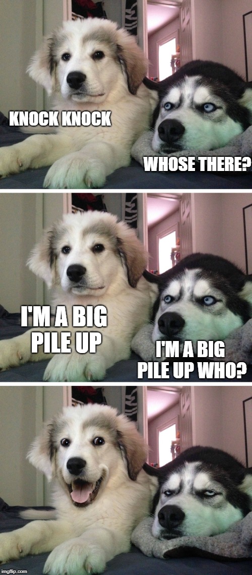 Bad pun dogs | KNOCK KNOCK; WHOSE THERE? I'M A BIG PILE UP; I'M A BIG PILE UP WHO? | image tagged in bad pun dogs | made w/ Imgflip meme maker