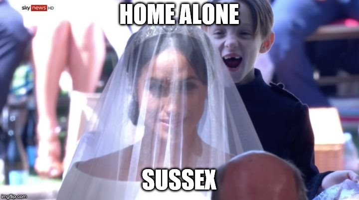 HOME ALONE; SUSSEX | image tagged in royal blunders | made w/ Imgflip meme maker