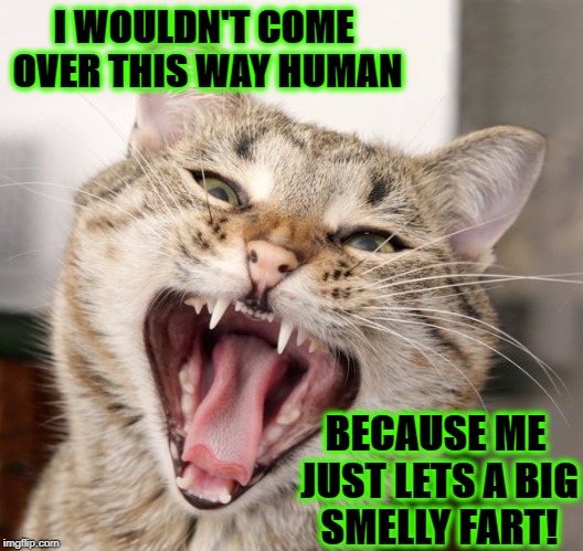 BIG FART | I WOULDN'T COME OVER THIS WAY HUMAN; BECAUSE ME JUST LETS A BIG SMELLY FART! | image tagged in big fart | made w/ Imgflip meme maker