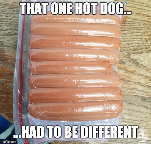 One of theses things is not like the others.  | THAT ONE HOT DOG... ...HAD TO BE DIFFERENT | image tagged in too funny | made w/ Imgflip meme maker