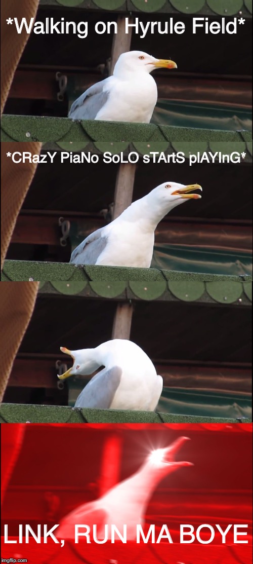 Inhaling Seagull Meme | *Walking on Hyrule Field*; *CRazY PiaNo SoLO sTArtS plAYInG*; LINK, RUN MA BOYE | image tagged in memes,inhaling seagull | made w/ Imgflip meme maker