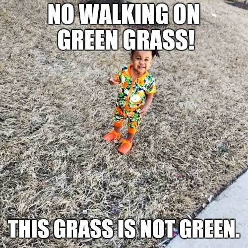 Jaci | NO WALKING ON GREEN GRASS! THIS GRASS IS NOT GREEN. | image tagged in jaci | made w/ Imgflip meme maker