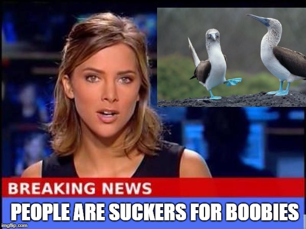 PEOPLE ARE SUCKERS FOR BOOBIES | made w/ Imgflip meme maker