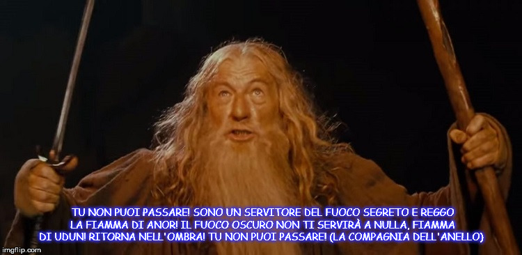 TU NON PUOI PASSARE! SONO UN SERVITORE DEL FUOCO SEGRETO E REGGO LA FIAMMA DI ANOR! IL FUOCO OSCURO NON TI SERVIRÀ A NULLA, FIAMMA DI UDUN! RITORNA NELL'OMBRA! TU NON PUOI PASSARE! (LA COMPAGNIA DELL'ANELLO) | made w/ Imgflip meme maker