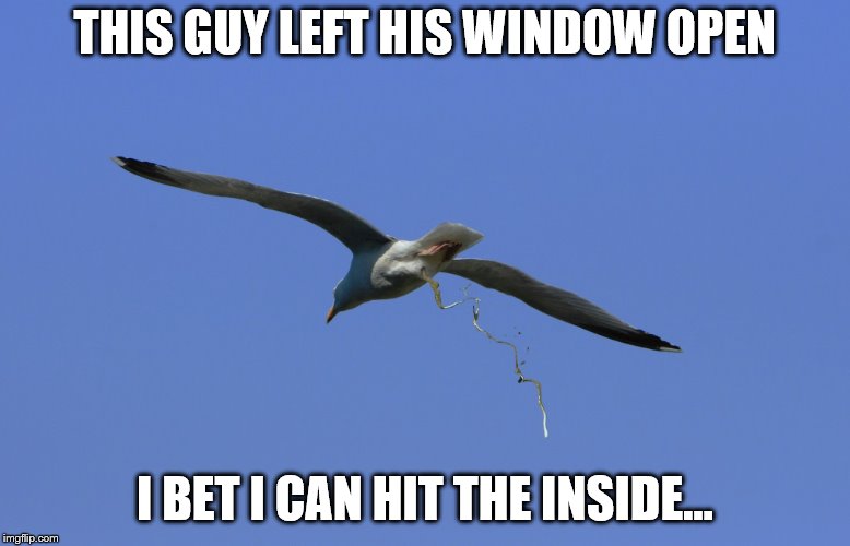 THIS GUY LEFT HIS WINDOW OPEN I BET I CAN HIT THE INSIDE... | made w/ Imgflip meme maker