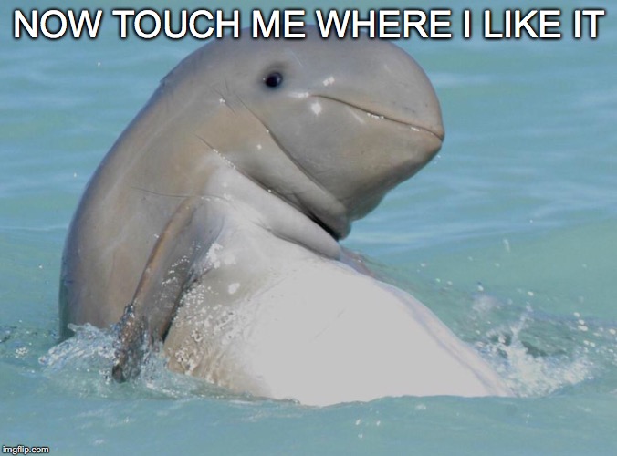 NOW TOUCH ME WHERE I LIKE IT | made w/ Imgflip meme maker