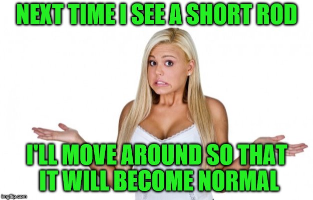 NEXT TIME I SEE A SHORT ROD I'LL MOVE AROUND SO THAT IT WILL BECOME NORMAL | made w/ Imgflip meme maker