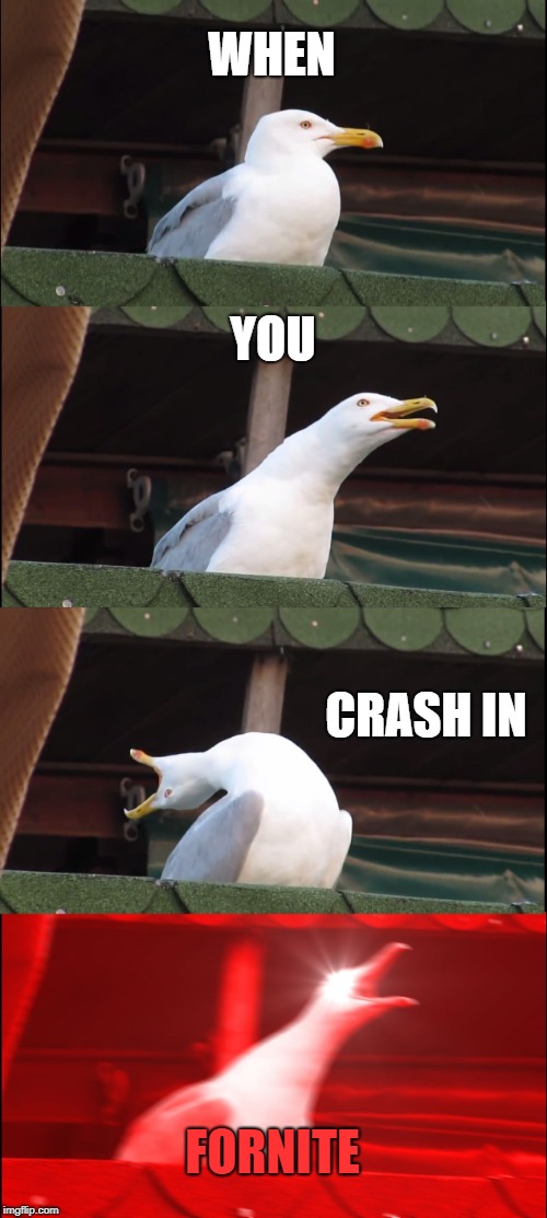 Inhaling Seagull Meme | WHEN; YOU; CRASH IN; FORNITE | image tagged in memes,inhaling seagull | made w/ Imgflip meme maker