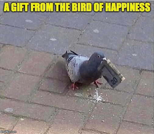 A GIFT FROM THE BIRD OF HAPPINESS | made w/ Imgflip meme maker