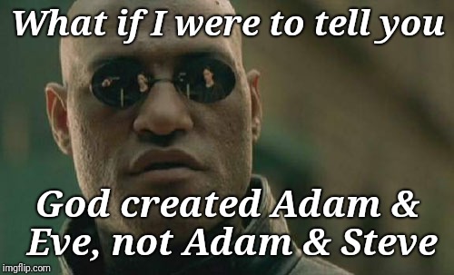 Matrix Morpheus Meme | What if I were to tell you God created Adam & Eve, not Adam & Steve | image tagged in memes,matrix morpheus | made w/ Imgflip meme maker
