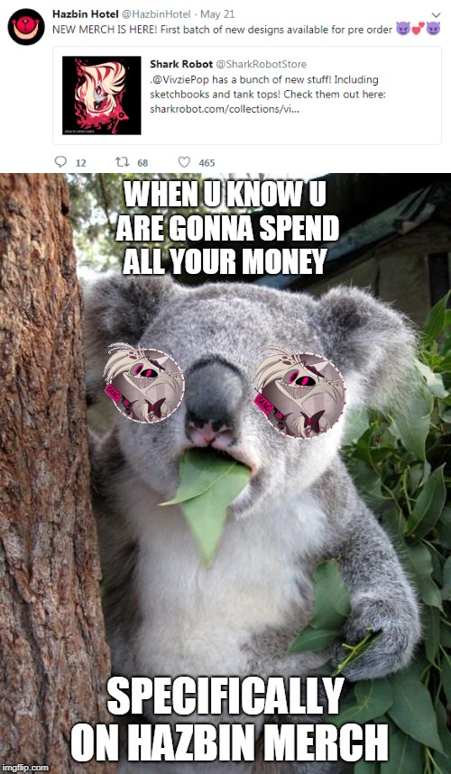 WHEN U KNOW U ARE GONNA SPEND ALL YOUR MONEY | WHEN U KNOW U ARE GONNA SPEND ALL YOUR MONEY; SPECIFICALLY ON HAZBIN MERCH | image tagged in surprised koala,hazbin hotel,angel,buy all of it,funny,memes | made w/ Imgflip meme maker