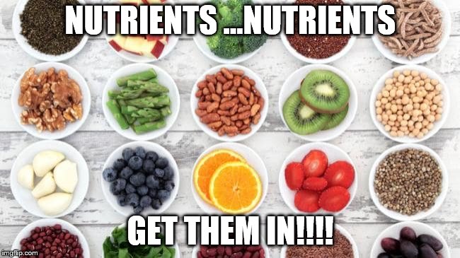 health | NUTRIENTS ...NUTRIENTS; GET THEM IN!!!! | image tagged in food | made w/ Imgflip meme maker