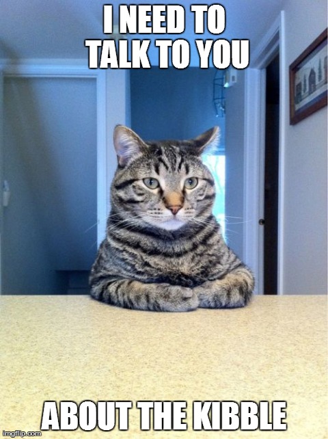 Take A Seat Cat Meme | I NEED TO TALK TO YOU ABOUT THE KIBBLE | image tagged in memes,take a seat cat,cats,funny | made w/ Imgflip meme maker