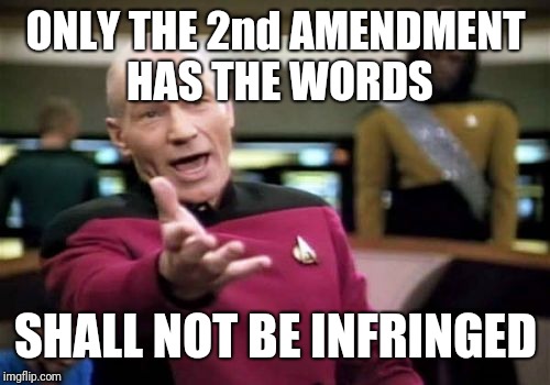 Picard Wtf Meme | ONLY THE 2nd AMENDMENT HAS THE WORDS SHALL NOT BE INFRINGED | image tagged in memes,picard wtf | made w/ Imgflip meme maker