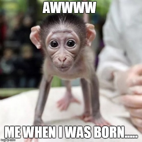AWWWW; ME WHEN I WAS BORN..... | made w/ Imgflip meme maker