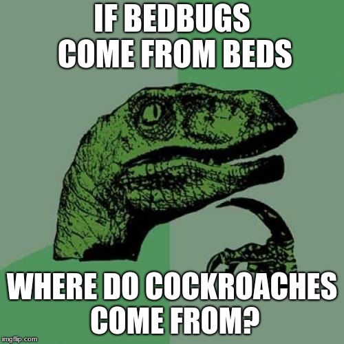 Philosoraptor | IF BEDBUGS COME FROM BEDS; WHERE DO COCKROACHES COME FROM? | image tagged in memes,philosoraptor | made w/ Imgflip meme maker