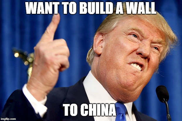 Donald Trump | WANT TO BUILD A WALL; TO CHINA | image tagged in donald trump | made w/ Imgflip meme maker