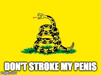 Gadsden Flag | DON'T STROKE MY PENIS | image tagged in gadsden flag | made w/ Imgflip meme maker