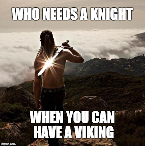 I'll take a Viking | WHO NEEDS A KNIGHT; WHEN YOU CAN HAVE A VIKING | image tagged in viking,vikings,knight,knights,sword,man | made w/ Imgflip meme maker
