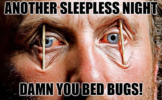 No sleep...Damned bed bugs! | ANOTHER SLEEPLESS NIGHT; DAMN YOU BED BUGS! | image tagged in toothpick eyes over tired,tired,bloodshot,extreme,sleep,bedbugs | made w/ Imgflip meme maker