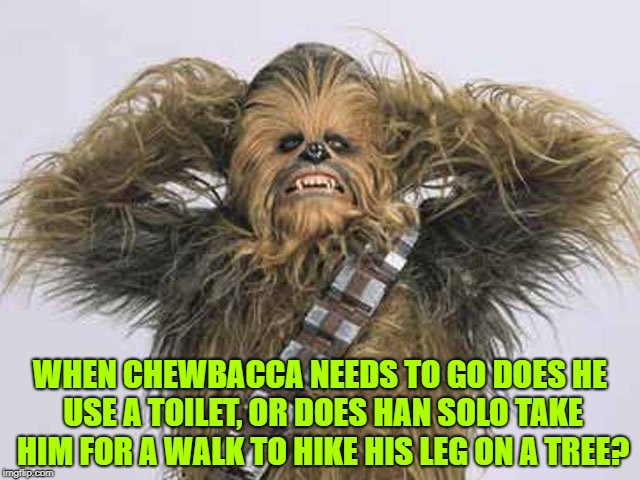 chewbaca | WHEN CHEWBACCA NEEDS TO GO DOES HE USE A TOILET, OR DOES HAN SOLO TAKE HIM FOR A WALK TO HIKE HIS LEG ON A TREE? | image tagged in chewbacca,star wars,funny,memes,funny memes | made w/ Imgflip meme maker