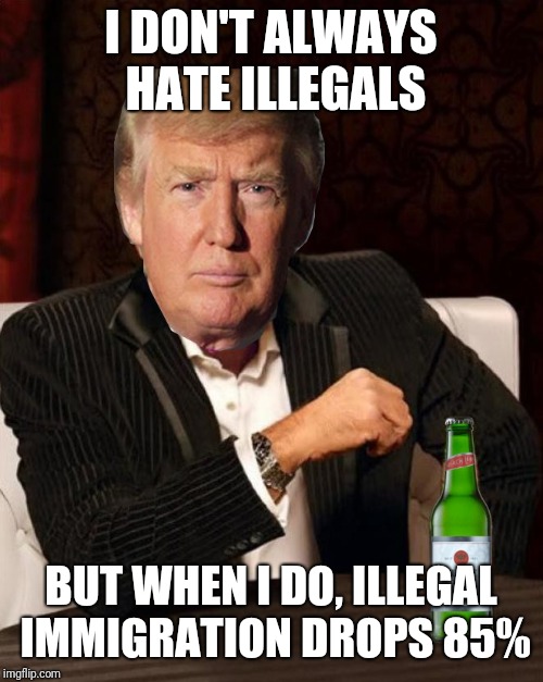 Donald Trump Most Interesting Man In The World (I Don't Always) | I DON'T ALWAYS HATE ILLEGALS; BUT WHEN I DO, ILLEGAL IMMIGRATION DROPS 85% | image tagged in donald trump most interesting man in the world i don't always | made w/ Imgflip meme maker