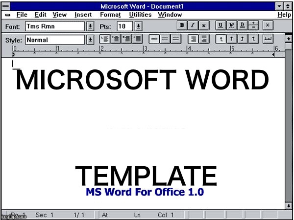 MS Word | MICROSOFT WORD; TEMPLATE | image tagged in ms word,memes | made w/ Imgflip meme maker
