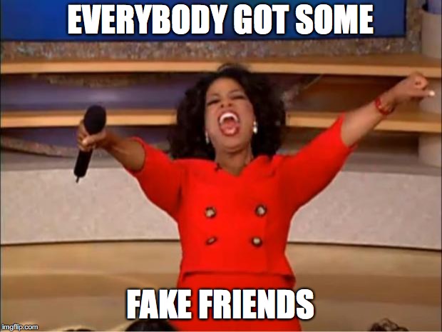 Oprah You Get A Meme | EVERYBODY GOT SOME; FAKE FRIENDS | image tagged in memes,oprah you get a | made w/ Imgflip meme maker