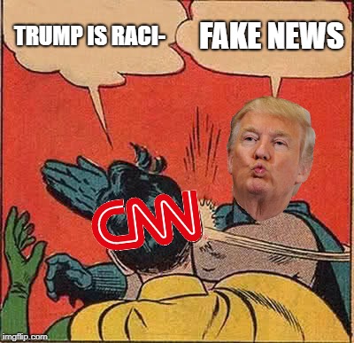 Fake news | TRUMP IS RACI-; FAKE NEWS | image tagged in memes,batman slapping robin | made w/ Imgflip meme maker