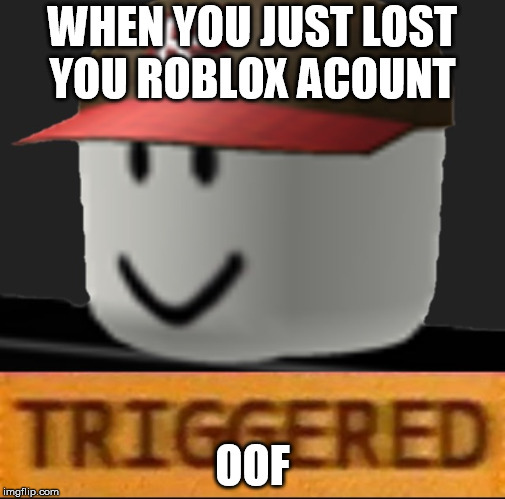 Roblox Triggered | WHEN YOU JUST LOST YOU ROBLOX ACOUNT; OOF | image tagged in roblox triggered | made w/ Imgflip meme maker