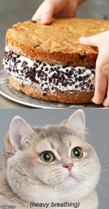 That's a big ice cream sandwich. | image tagged in memes,heavy breathing cat,ice cream,food | made w/ Imgflip meme maker